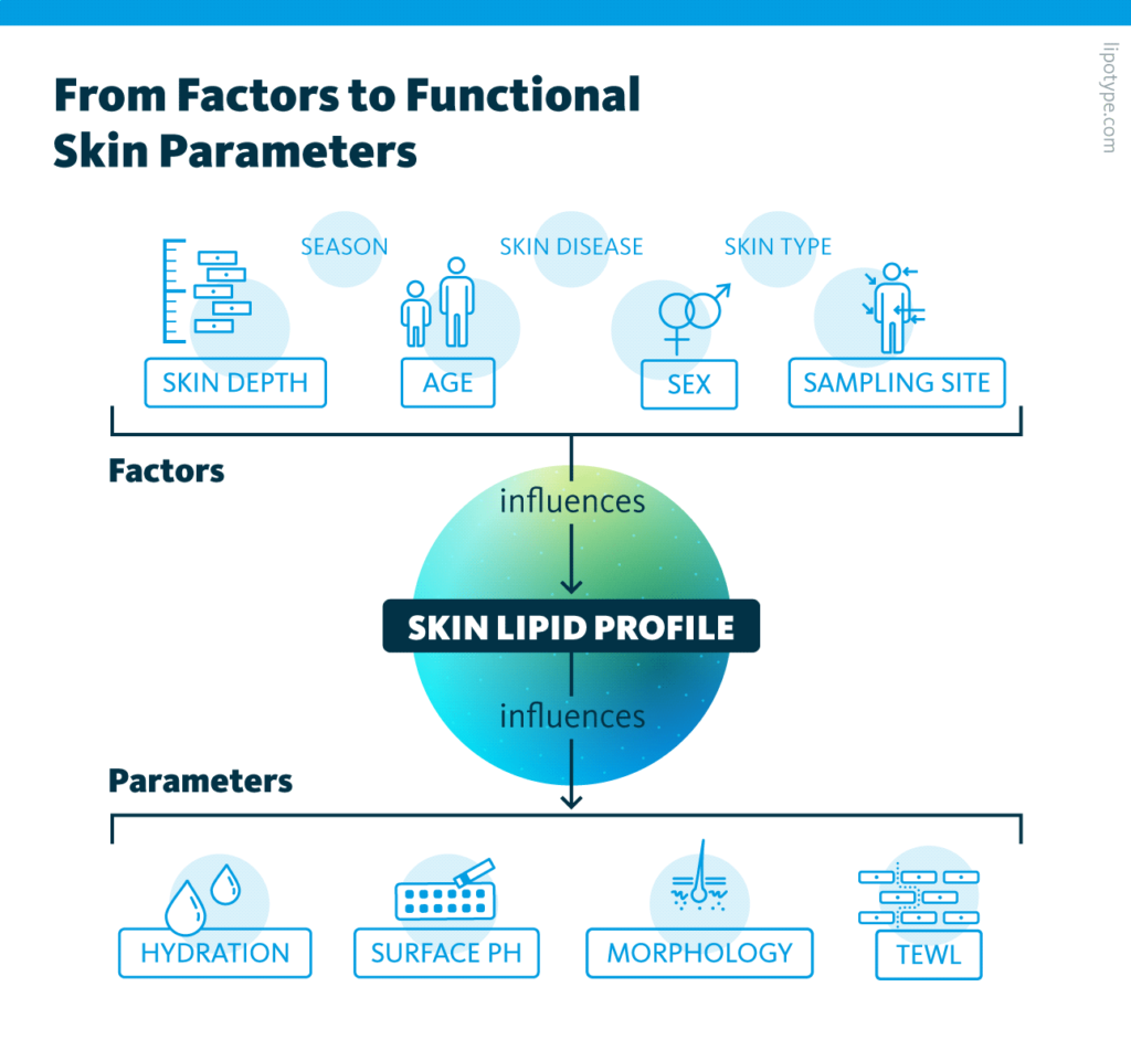 An infographic depicting how external and internal factors (such as age, sex, sampling site and depth) influence the skin lipid profile, and how the skin lipid profile influences functional skin parameters such as skin hydration, surface pH, morphology or trans-epidermal water loss.