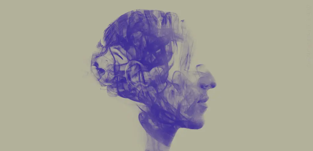 An artistic image of a head filled with smoke.