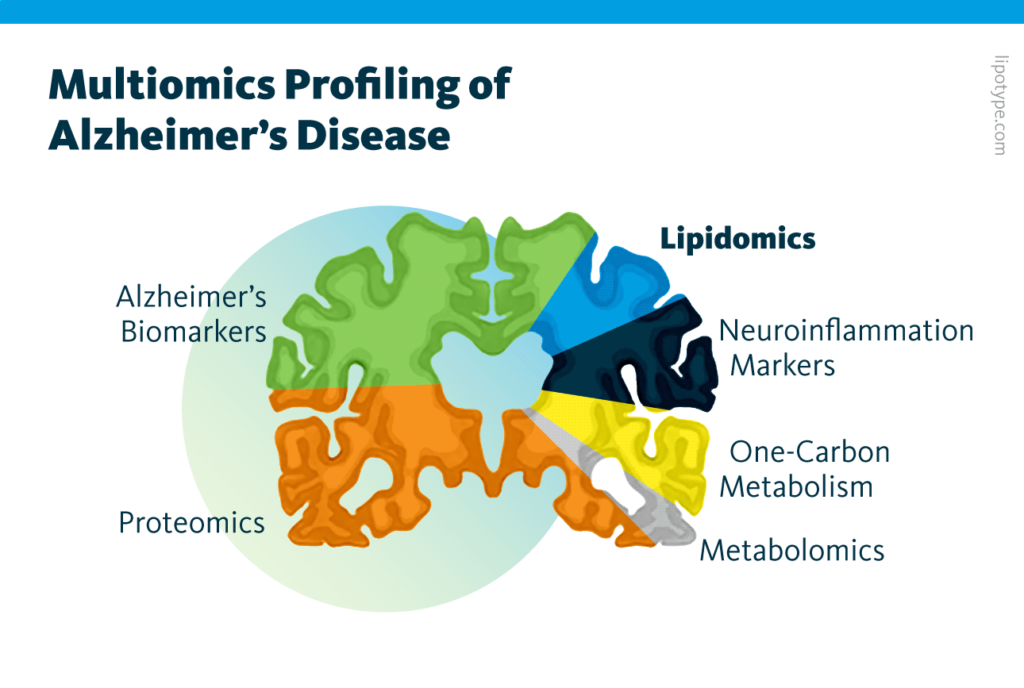 An infographic showing how different analytical methods such as lipidomics, proteomics, and metabolomics contribute to understanding Alzheimer's disease on a molecular level.