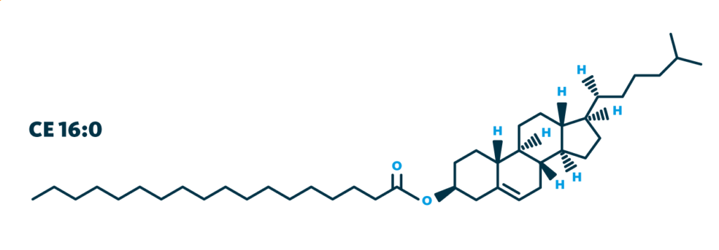 Molecular structure of the lipid cholesteryl ester 16:0 that was linked to LF4, one of the five latent factors that account for the variance between Alzheimer’s patients which was observed through multiomics analysis.