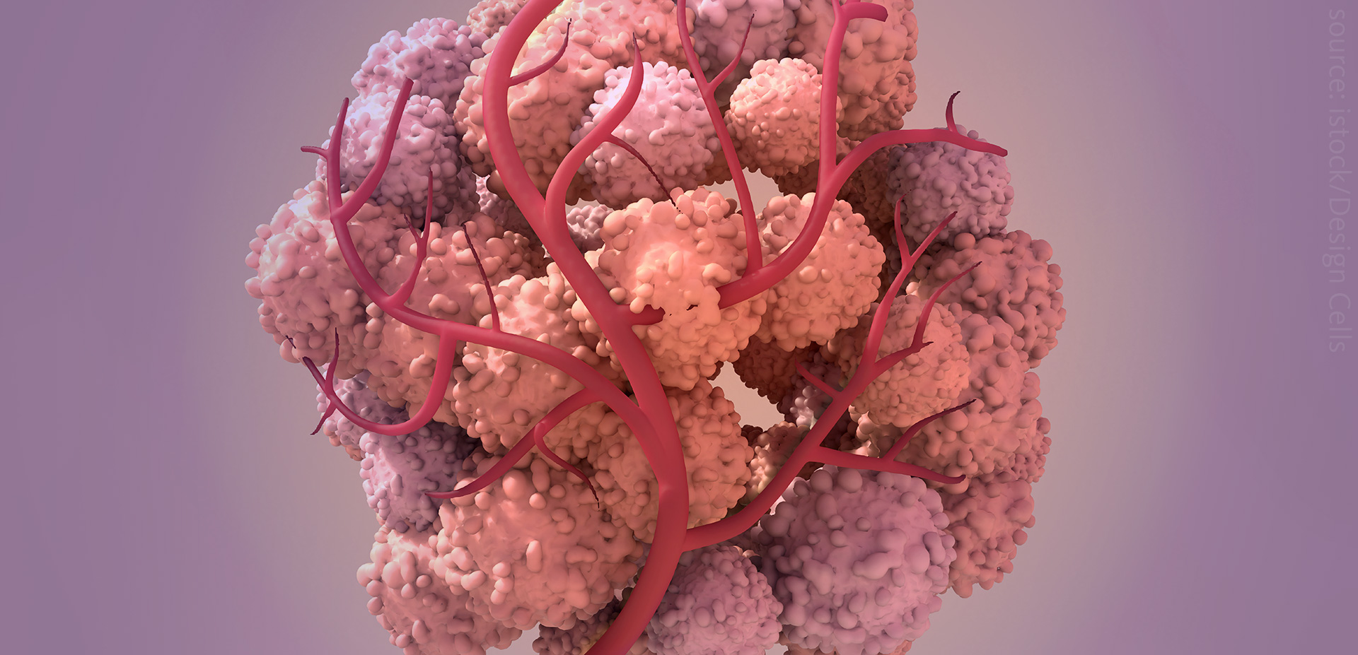 Cancer, hypoxia & mitochondria lipids