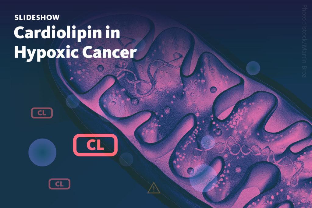 Slide 1: A slideshow about how impairing cardiolipin biosynthesis in the mitochondria of hypoxic cancers inhibits cancer growth.
