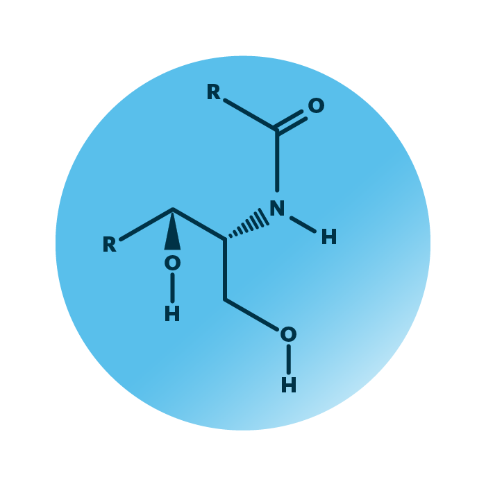 General molecular structure of the lipid group ceramides.