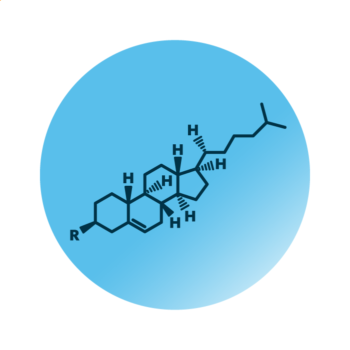 General molecular structure of the lipid group cholesterol lipids.