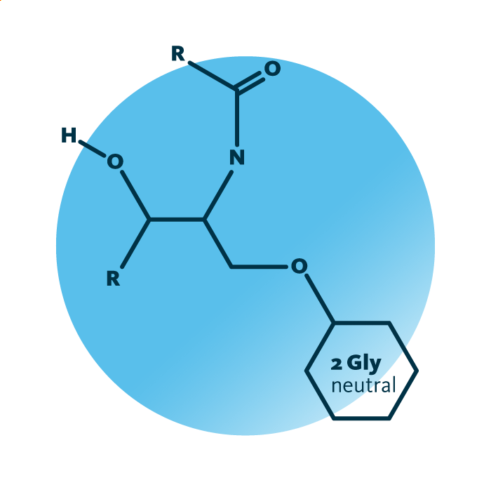 General molecular structure of the lipid group diglycosylceramides.