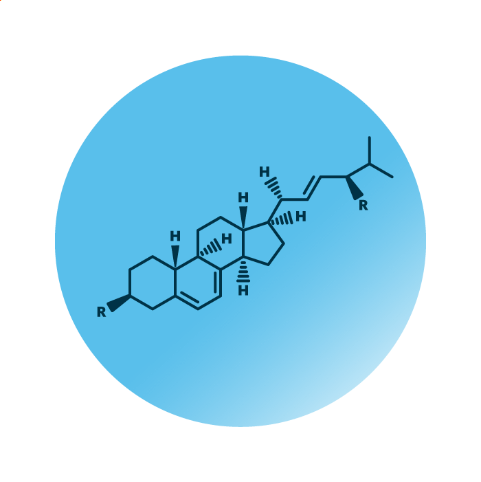 General molecular structure of the lipid group ergosterol lipids.