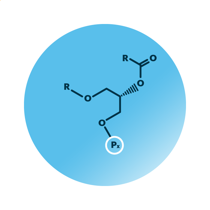 General molecular structure of the lipid group ether phospholipids.