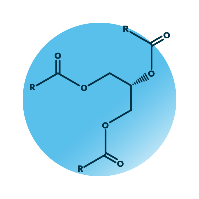 General molecular structure of the lipid group glycerol esters.