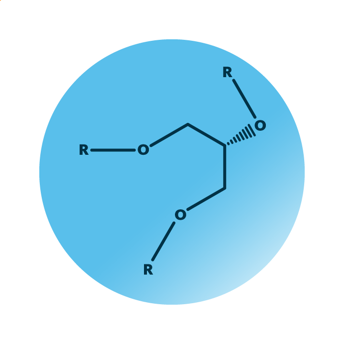 General molecular structure of the lipid category glycerolipids.