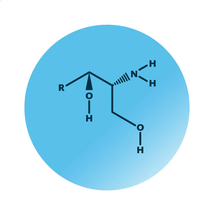 General molecular structure of the lipid category sphingolipids.
