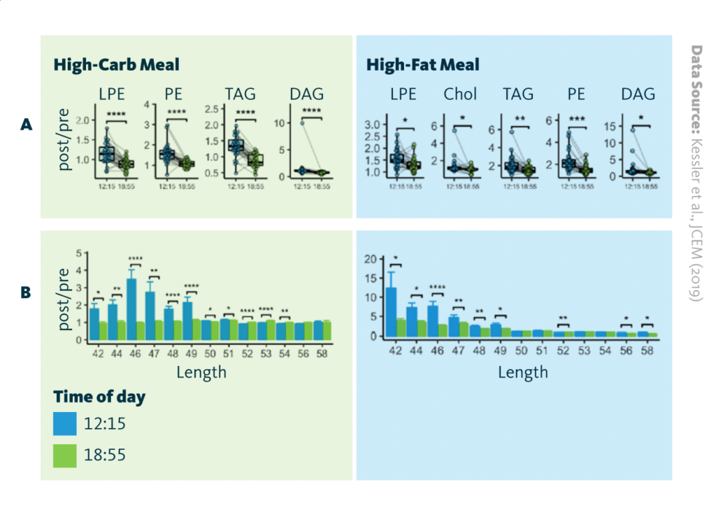 (A) Diurnal differences of lipid classes. Values for individual subjects are displayed as points and connected by lines, the overall shape of the distribution is shown as a boxplot. (B) Diurnal differences of triglyceride postprandial responses dependent on total triglyceride chain length.