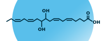 An example for the molecular structure of 11,12-DiHETE.