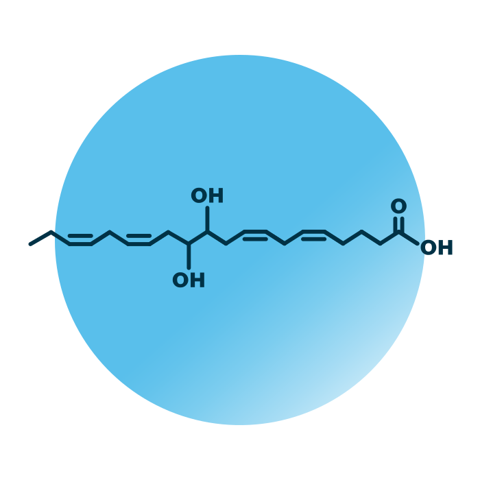 An example for the molecular structure of 11,12-DiHETE.