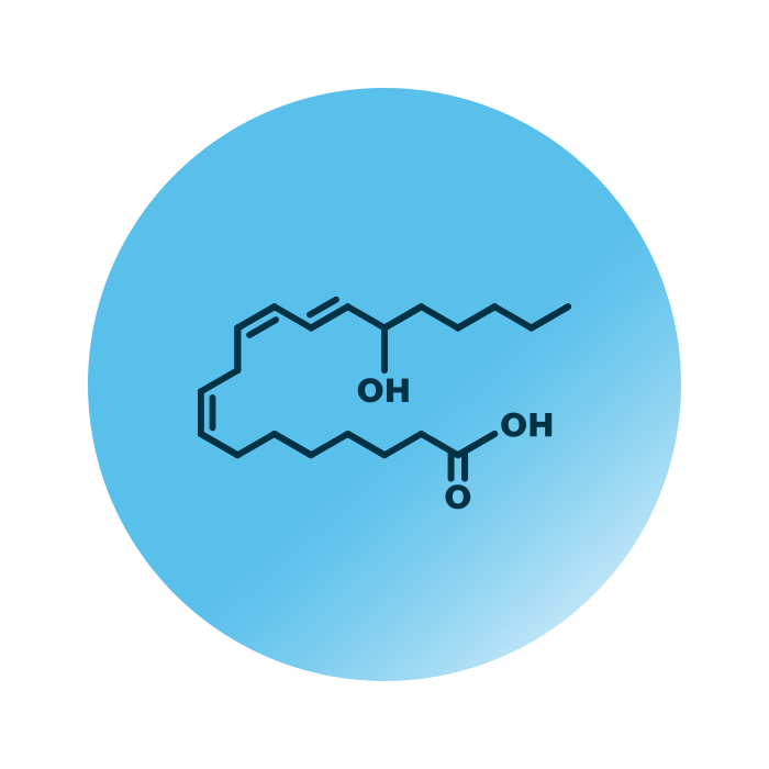 An example for the molecular structure of 15-HETrE.