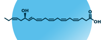 An example for the molecular structure of 17-HDHA.
