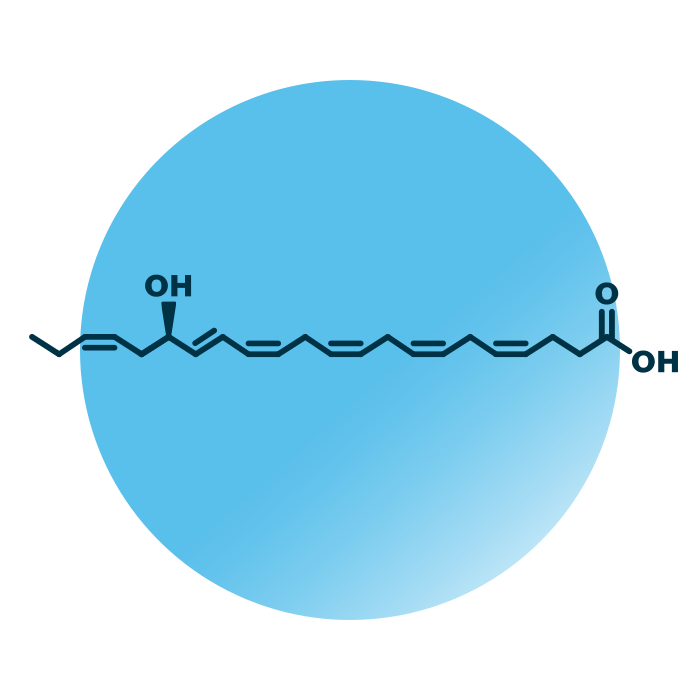 An example for the molecular structure of 17-HDHA.