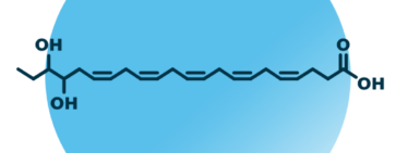 An example for the molecular structure of 19,20-DiHDPE.