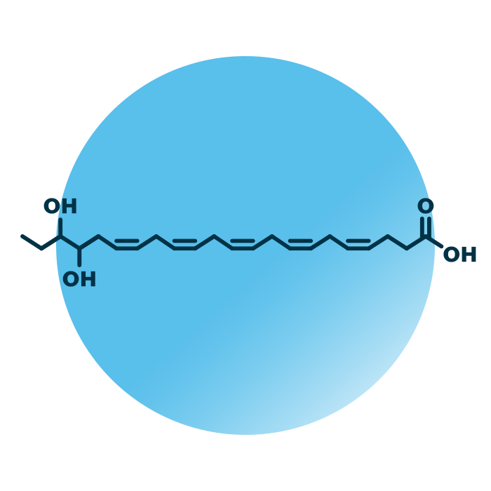An example for the molecular structure of 19,20-DiHDPE.