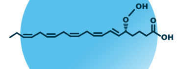 An example for the molecular structure of 5-HpEPE.