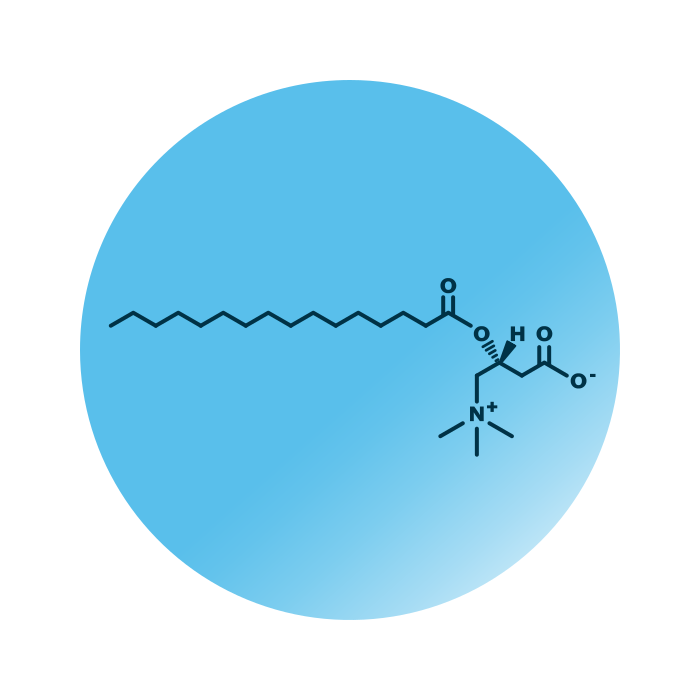 An example for the molecular structure of CAR 16:0.