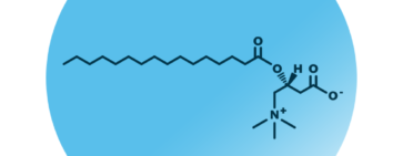 An example for the molecular structure of CAR 16:0.