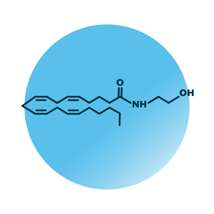 An example for the molecular structure of NAE 20:4 (Anandamide).