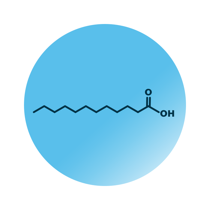 An example for the molecular structure of FA 12:0;0.