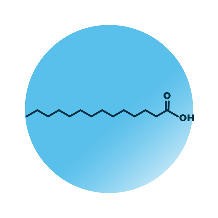 An example for the molecular structure of FA 14:0;0.