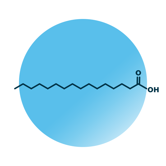 An example for the molecular structure of FA 16:0;0.