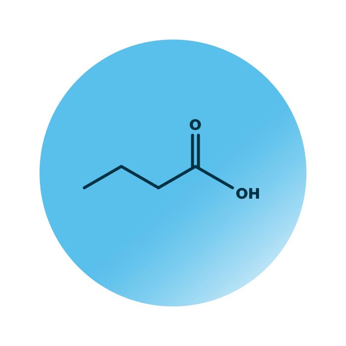 An example for the molecular structure of FA 4:0;0.