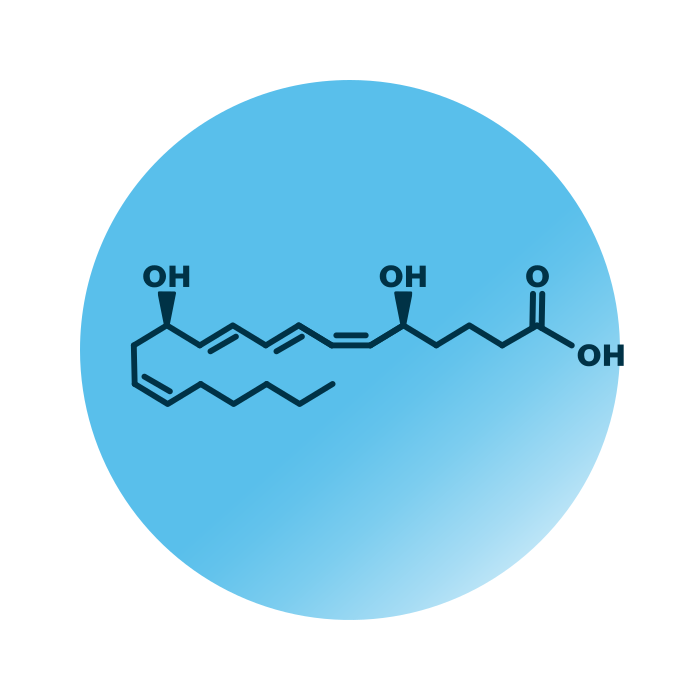 An example for the molecular structure of leukotriene B4.