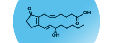 An example for the molecular structure of prostaglandin B2.