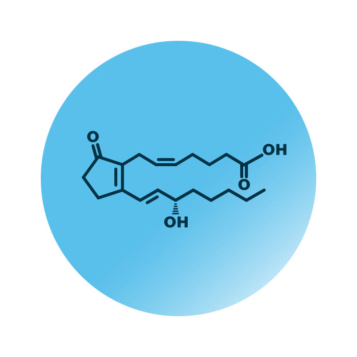 An example for the molecular structure of prostaglandin B2.