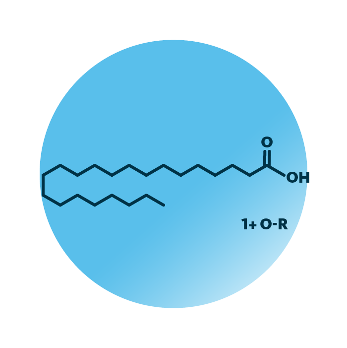 General molecular structure of the lipid group docosanoids.