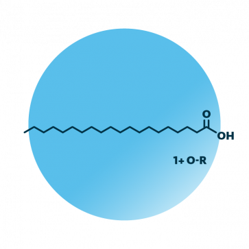 General molecular structure of the lipid group eicosanoids.