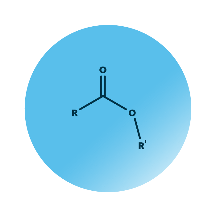 General molecular structure of the lipid category fatty acyls.