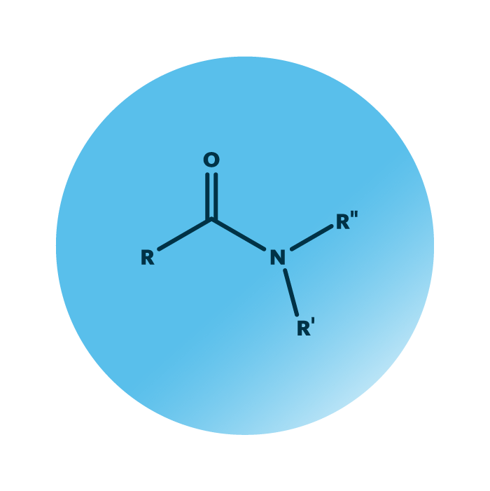 General molecular structure of the lipid group fatty amides.