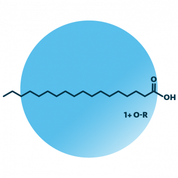 General molecular structure of the lipid group octadecanoids.