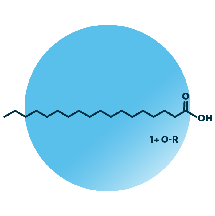 General molecular structure of the lipid group octadecanoids.