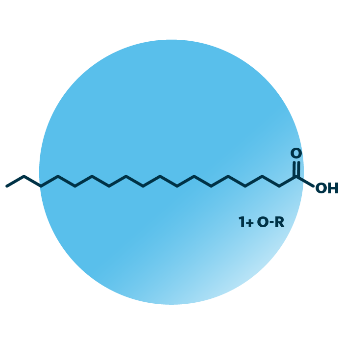 General molecular structure of the lipid group octadecanoids.