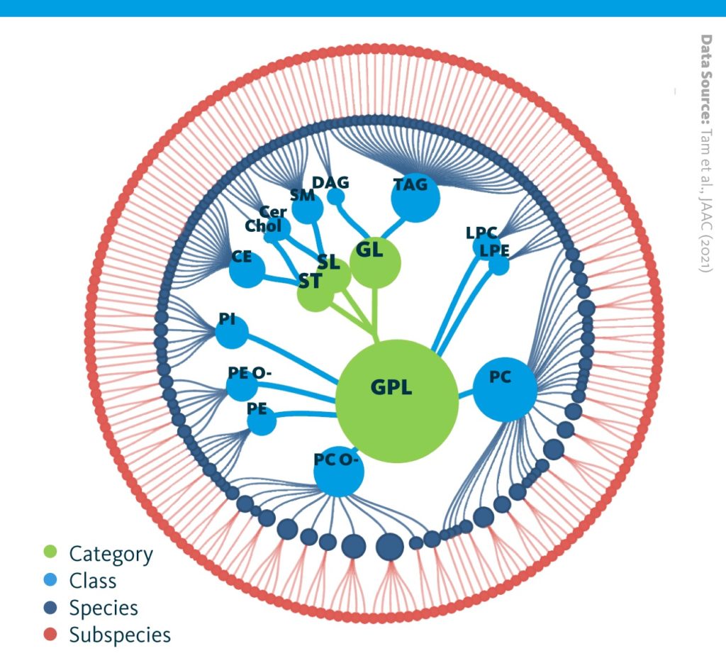 A hierarchical overview of the identified and quantified lipids featuring lipid categories, classes, species, and subspecies