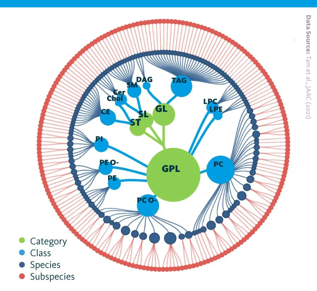 A hierarchical overview of the identified and quantified lipids featuring lipid categories, classes, species, and subspecies