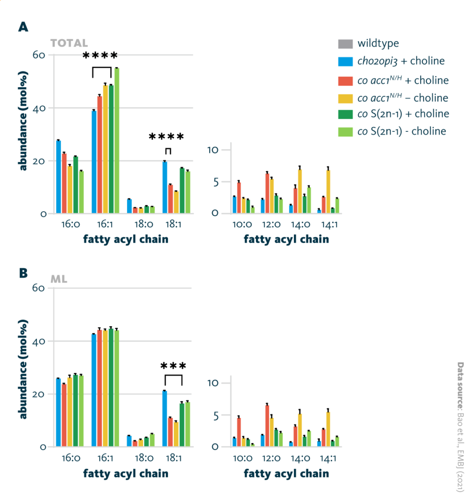 Comparison of the fatty acyl chain of different cho2opi3 suppressor yeast strains cultured with (+ choline) or without (- choline) 1mM choline. Fatty acyl profiles of the total lipid fraction, and fatty acyl profiles of the membrane glycerolipids and phospholipids fraction.