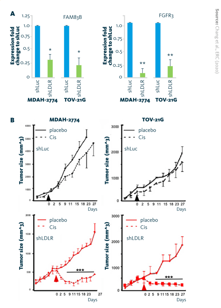 (A) Reduction of FAM83B mRNA and FGFR3 mRNA expression in endometrioid (MDAH-2774) and clear-cell (TOV-21G) ovarian cancer cell lines after LDLR-knockdown (shLDLR). (B) Tumor-suppressive effect of cisplatin (6 mg/kg/mice) in xenograft mouse models. (A) Reduction of FAM83B mRNA and FGFR3 mRNA expression in endometrioid (MDAH-2774) and clear-cell (TOV-21G) ovarian cancer cell lines after LDLR-knockdown (shLDLR). (B) Tumor-suppressive effect of cisplatin (6 mg/kg/mice) in xenograft mouse models.