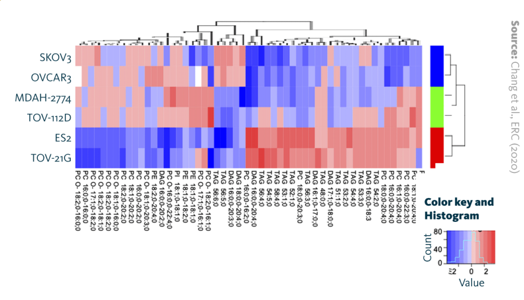 Heatmap lipid profiles of serous (SKOV3, OVCAR3), endometrioid (MDAH-2774, TOV-112D), and clear-cell (ES2, TOV-21G) ovarian cancer cell lines. The color spectrum indicates the variation of lipid species.