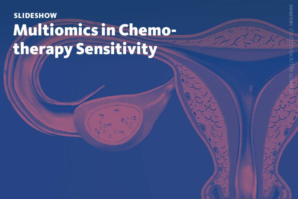 Slide 1: A slideshow about how multiomics analysis is applied in cancer research to understand chemotherapy sensitivity.