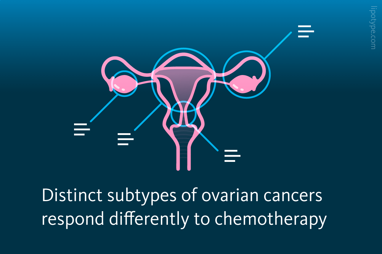 Slide 2: Distinct subtypes of ovarian cancers respond differently to chemotherapy.