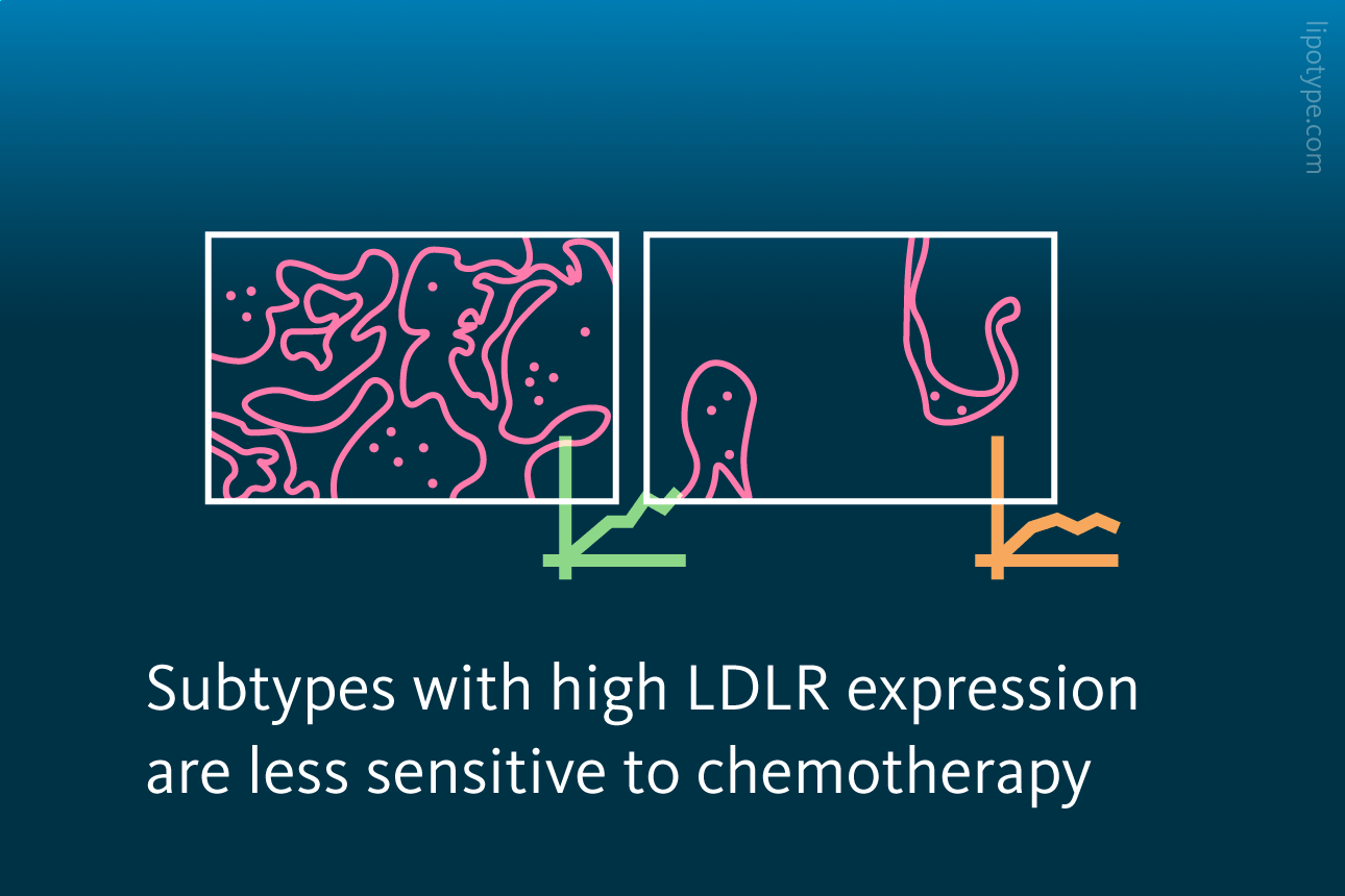 Slide 3: Subtypes with high LDLR expression are less sensitive to chemotherapy.