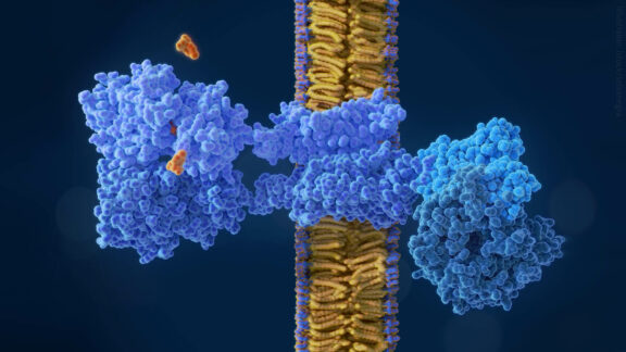 The title image of the Lipidomics Webinar "The Composition, Organization and Function of Mammalian Plasma Membranes" with Ilya Levental.