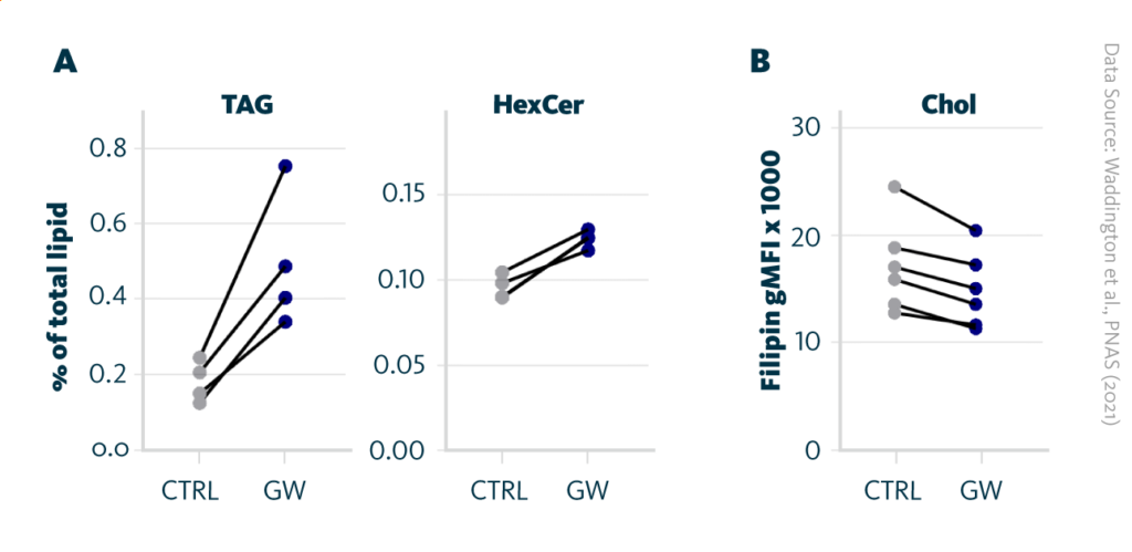 A Human CD4+ T cells (n = 4) were cultured with LXR agonist (GW) or without it (CTRL) for 36 h. Lipidomics analysis shows change in triacylglycerol (TAG) and hexosylceramide (HexCer) levels relative to total lipids. B Cells were cultured with LXR agonist (GW) or without it (CTRL) for 24 h. CD4+ T cells were selected for filipin staining for cholesterol. Cumulative data is showing the change in geometric mean fluorescence intensity (gMFI).